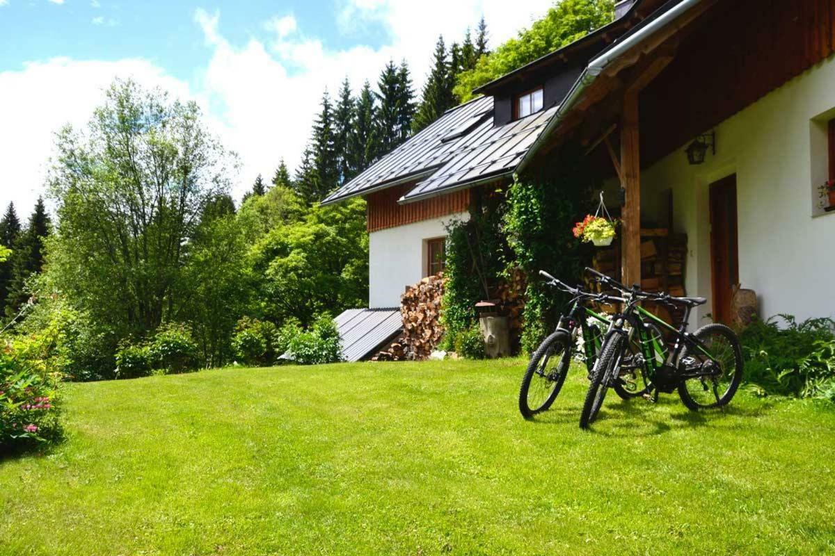 Апартаменты Alm-House Hollmann Железна-Руда Экстерьер фото
